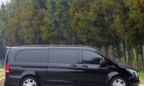 Mercedes-benz vito van with private driver istanbul Turkey